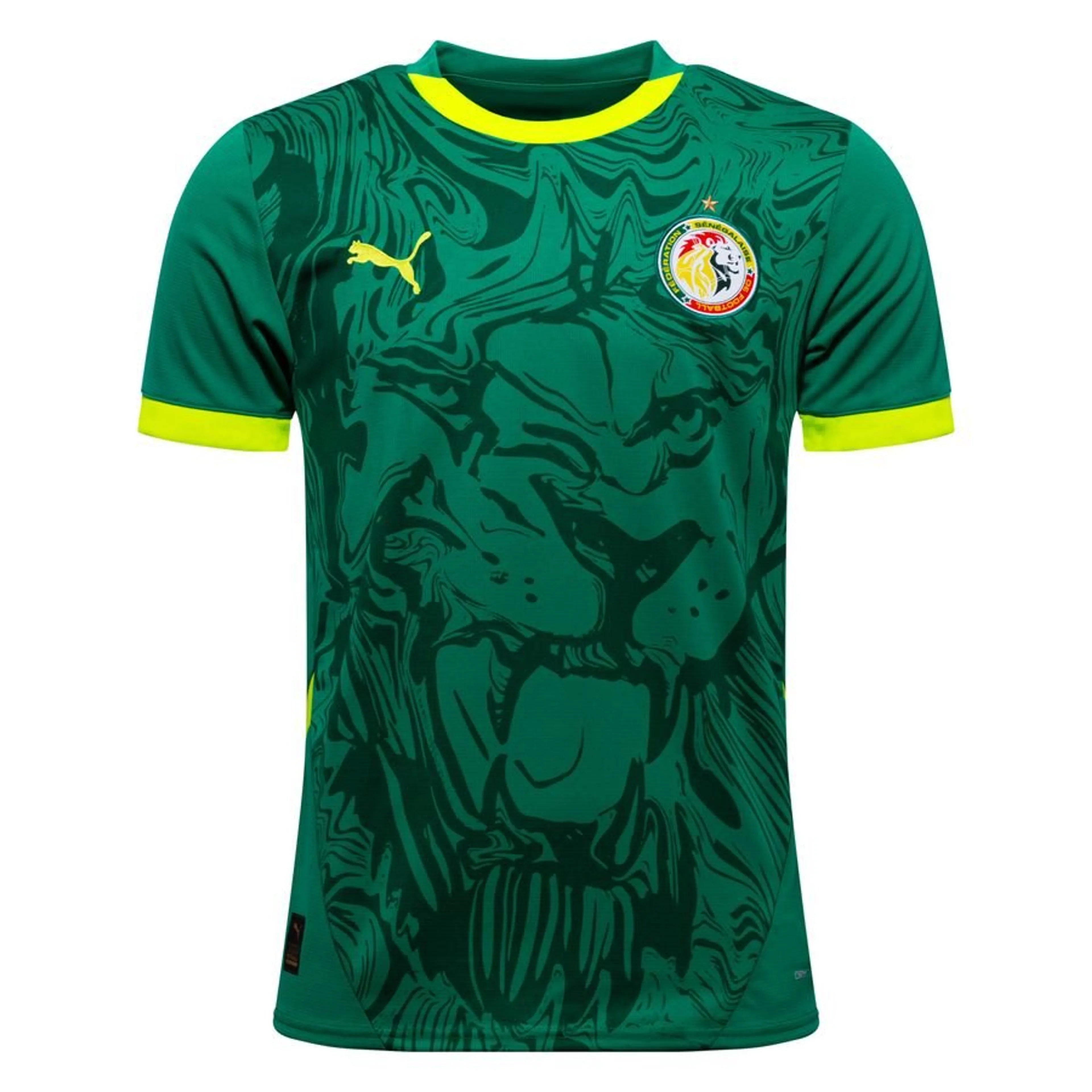 Sénégal Maillot Exterieur Africa Cup of Nations 2025
