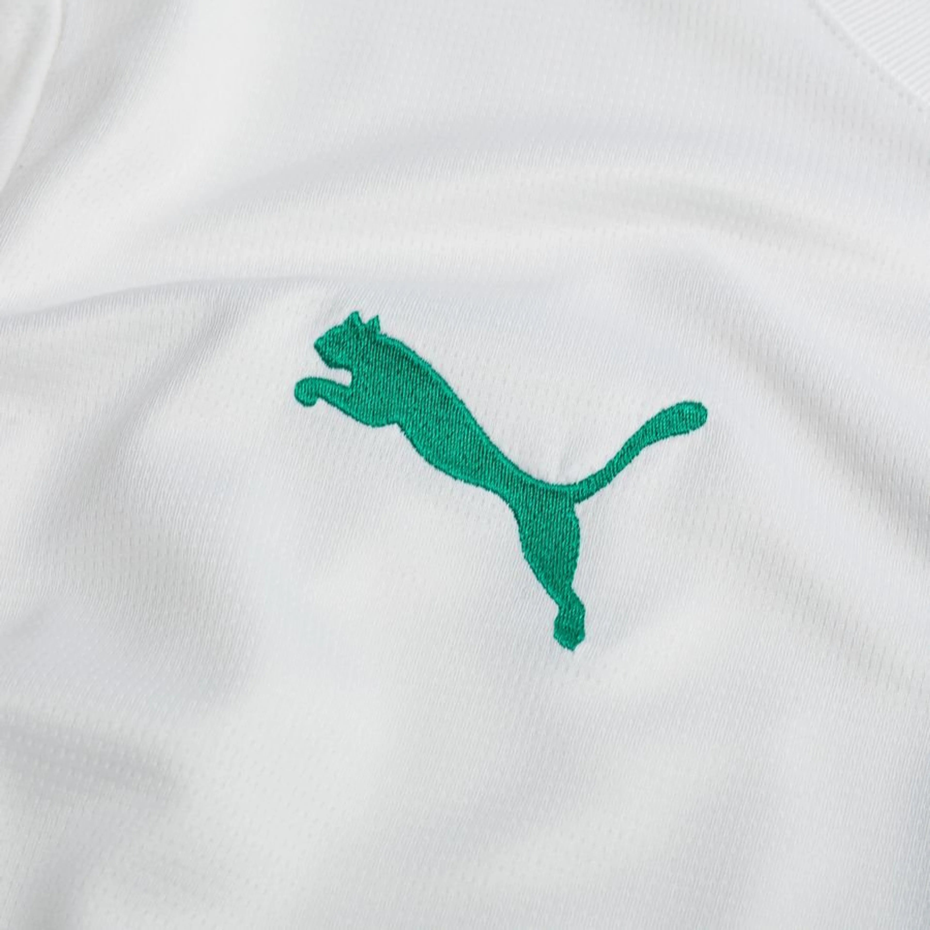 Sénégal Maillot Domicile Africa Cup of Nations 2025