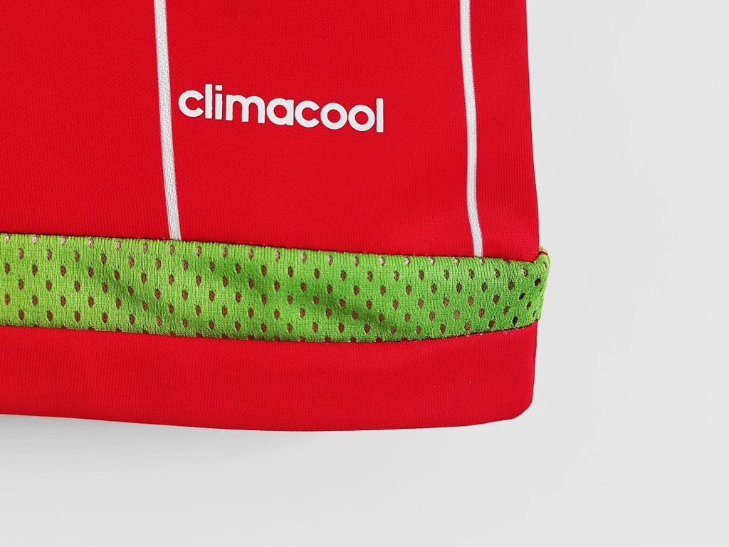 Pays de Galles Sml2015 16 5 A